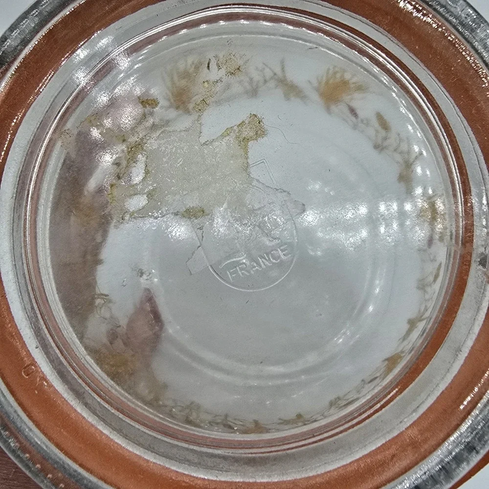 Vintage glass canister with wheat design Lid is stamped arc France